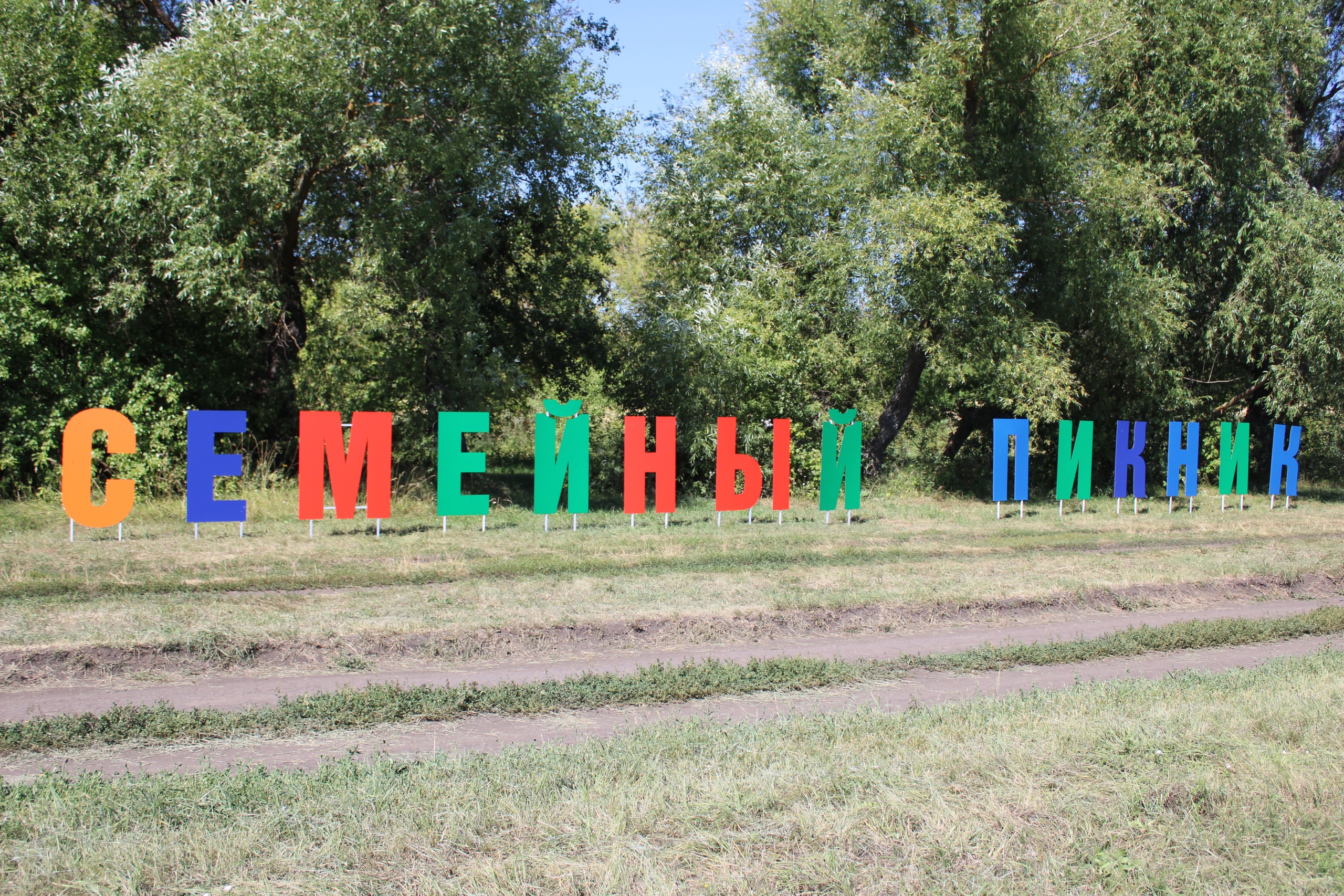 самые яркие фотографии VI областного фестиваля молодых семей «Семейный пикник»!.