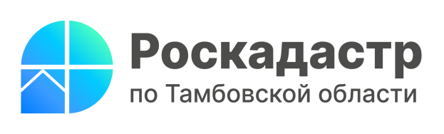 В ППК «Роскадастр» по Тамбовской области рассказали, как провести межевание и оформить земельный участок.