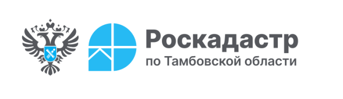 В филиале ППК «Роскадастр» по Тамбовской области рассказали про сроки хранения документов реестровых дел .