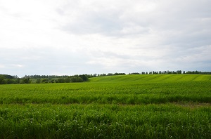 Симкина гора.