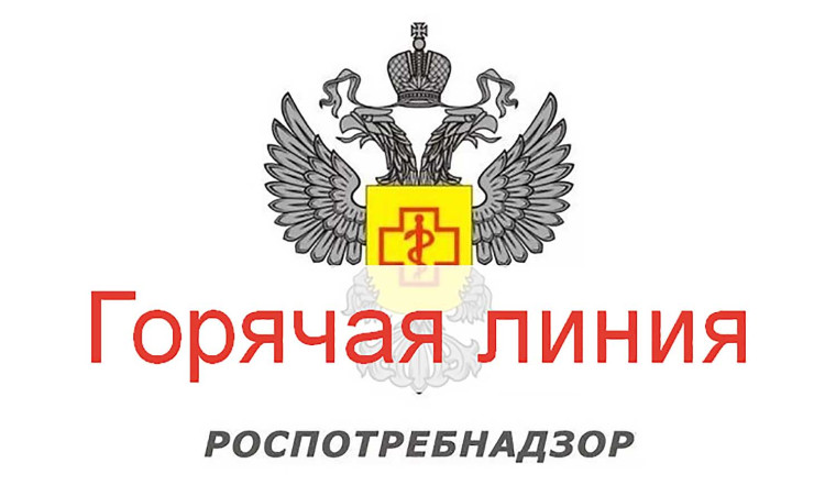 Телефоны «горячей линии» по вопросам качества и безопасности предоставления услуг детского отдыха, а также качества и безопасности детских товаров,. Телефоны «горячей линии» по вопросам качества и безопасности предоставления услуг детского отдыха, а также качества и безопасности детских товаров,.