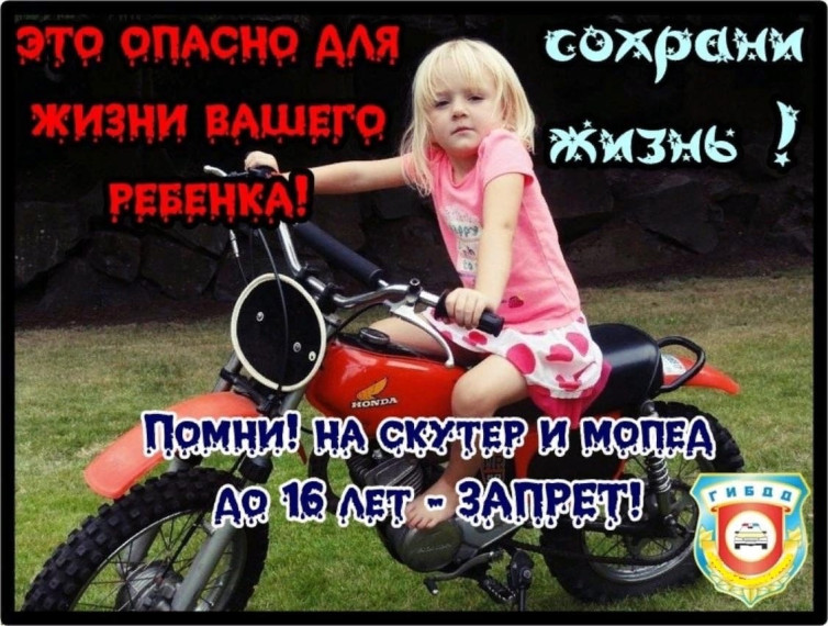 Мототранспорт – одна из самых опасных категорий транспортных средств.. Мототранспорт – одна из самых опасных категорий транспортных средств..