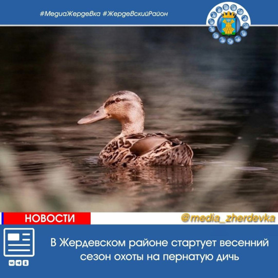 В Жердевском районе стартует весенний сезон охоты на пернатую дичь. В Жердевском районе стартует весенний сезон охоты на пернатую дичь.