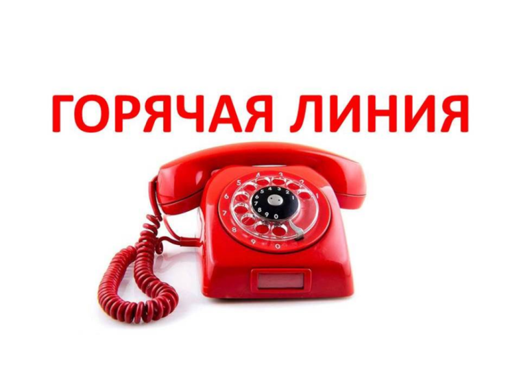 Телефонах «горячей линии» для граждан прибывших с Курской области. Телефонах «горячей линии» для граждан прибывших с Курской области.
