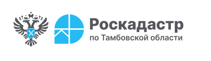 В филиале ППК «Роскадастр» по Тамбовской области рассказали про сроки хранения документов реестровых дел . В филиале ППК «Роскадастр» по Тамбовской области рассказали про сроки хранения документов реестровых дел .
