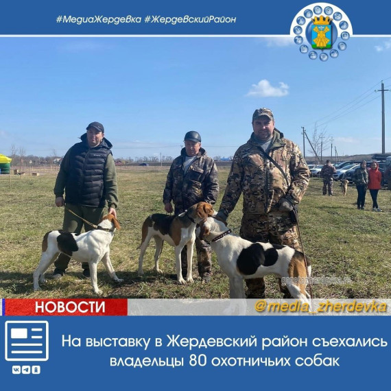 На выставку в Жердевский район съехались владельцы 80 охотничьих собак. На выставку в Жердевский район съехались владельцы 80 охотничьих собак.