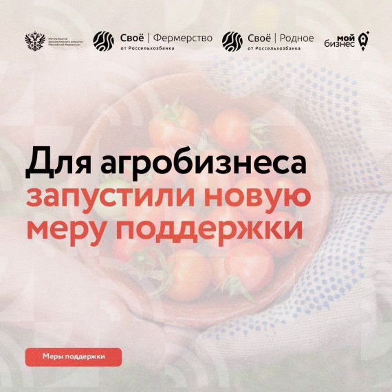 Для агробизнеса запустили новую меру поддержки. Для агробизнеса запустили новую меру поддержки.