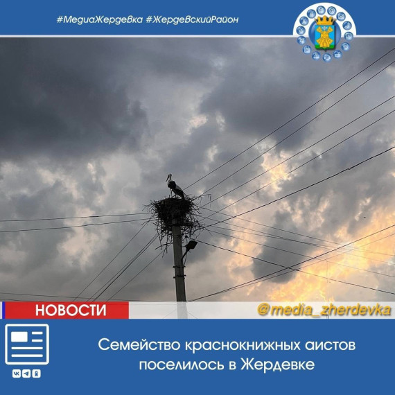 Семейство краснокнижных аистов поселилось в Жердевке. Семейство краснокнижных аистов поселилось в Жердевке.